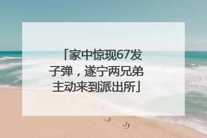 家中惊现67发子弹，遂宁两兄弟主动来到派出所