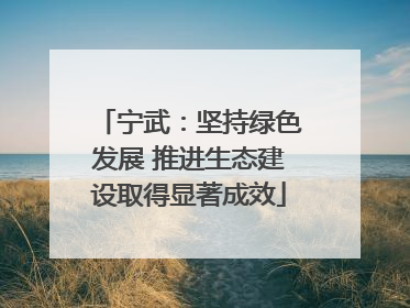 宁武：坚持绿色发展 推进生态建设取得显著成效