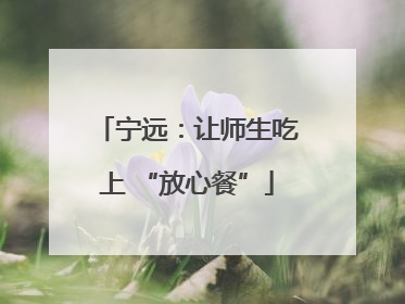 宁远：让师生吃上 “放心餐”