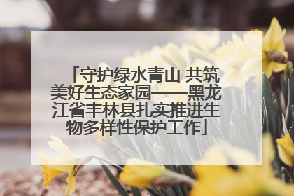 守护绿水青山 共筑美好生态家园——黑龙江省丰林县扎实推进生物多样性保护工作