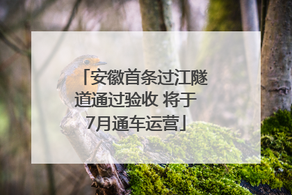 安徽首条过江隧道通过验收 将于7月通车运营