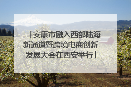 安康市融入西部陆海新通道暨跨境电商创新发展大会在西安举行