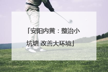 安阳内黄：整治小坑塘 改善大环境