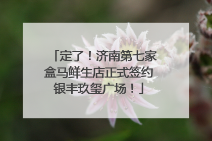 定了！济南第七家盒马鲜生店正式签约银丰玖玺广场！