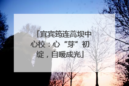 宜宾筠连蒿坝中心校：心“芽”初绽，自暖成光