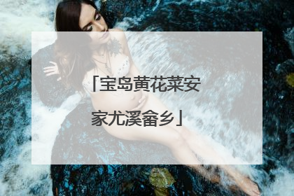 宝岛黄花菜安家尤溪畲乡