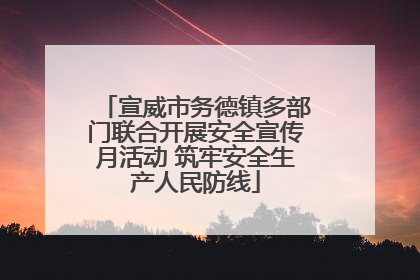 宣威市务德镇多部门联合开展安全宣传月活动 筑牢安全生产人民防线