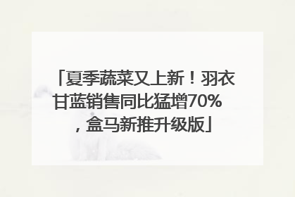 夏季蔬菜又上新!羽衣甘蓝销售同比猛增70%,盒马新推升级版
