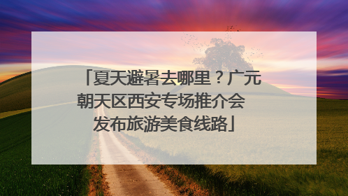 夏天避暑去哪里？广元朝天区西安专场推介会 发布旅游美食线路