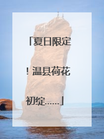 夏日限定！温县荷花初绽……