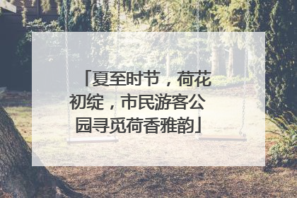 夏至时节，荷花初绽，市民游客公园寻觅荷香雅韵