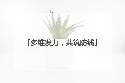 多维发力，共筑防线