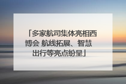 多家航司集体亮相西博会 航线拓展、智慧出行等亮点纷呈