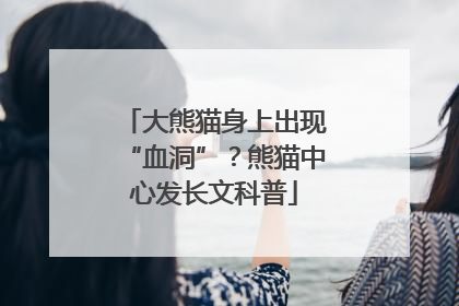 大熊猫身上出现“血洞”？熊猫中心发长文科普