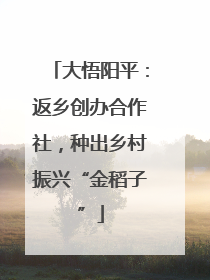 大悟阳平：返乡创办合作社，种出乡村振兴“金稻子”