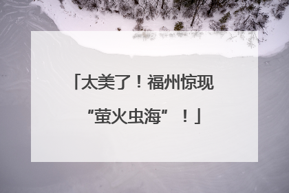 太美了！福州惊现“萤火虫海”！