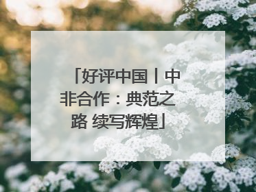 好评中国丨中非合作：典范之路 续写辉煌