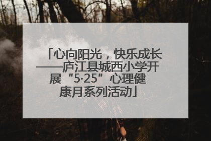 心向阳光，快乐成长——庐江县城西小学开展“5·25”心理健康月系列活动