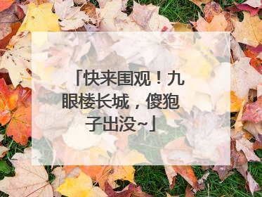 快来围观！九眼楼长城，傻狍子出没~