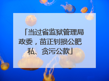 当过省监狱管理局政委，苗正钊损公肥私、贪污公款