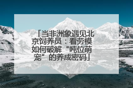 当非洲象遇见北京饲养员：看劳模如何破解“吨位萌宠”的养成密码