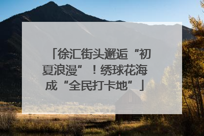 徐汇街头邂逅“初夏浪漫”！绣球花海成“全民打卡地”