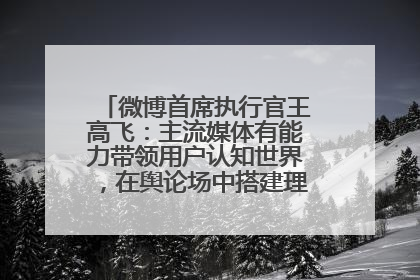 微博首席执行官王高飞：主流媒体有能力带领用户认知世界，在舆论场中搭建理性的讨论空间