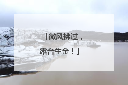 微风拂过，露台生金！