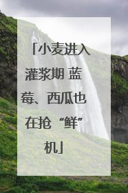 小麦进入灌浆期 蓝莓、西瓜也在抢“鲜”机