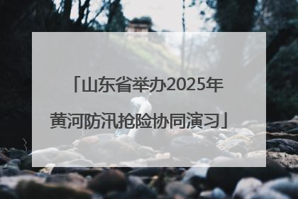 山东省举办2025年黄河防汛抢险协同演习