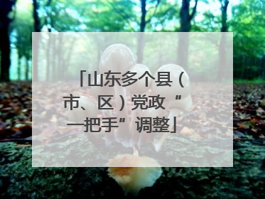 山东多个县（市、区）党政“一把手”调整