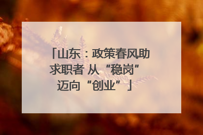山东：政策春风助求职者 从“稳岗”迈向“创业”