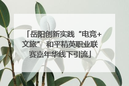 岳阳创新实践“电竞+文旅” 和平精英职业联赛嘉年华线下引流