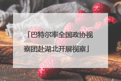 巴特尔率全国政协视察团赴湖北开展视察