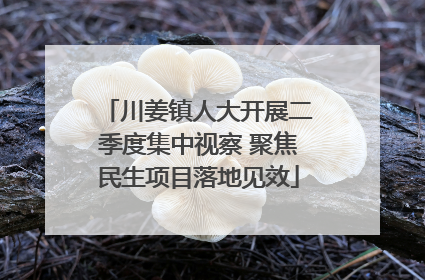 川姜镇人大开展二季度集中视察 聚焦民生项目落地见效