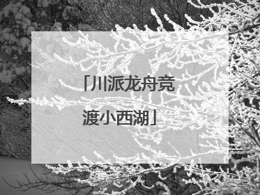 川派龙舟竞渡小西湖