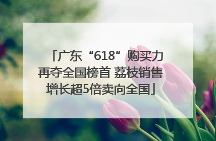 广东“618”购买力再夺全国榜首 荔枝销售增长超5倍卖向全国