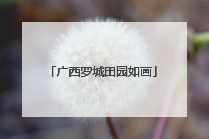 广西罗城田园如画