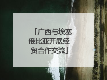 广西与埃塞俄比亚开展经贸合作交流
