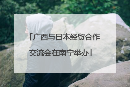 广西与日本经贸合作交流会在南宁举办