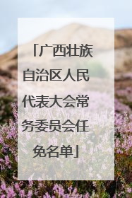 广西壮族自治区人民代表大会常务委员会任免名单