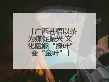 广西苍梧以茶为媒促振兴 文化赋能“绿叶”变“金叶”