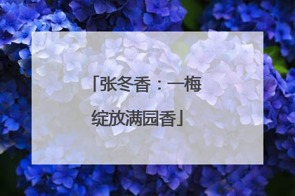 张冬香：一梅绽放满园香