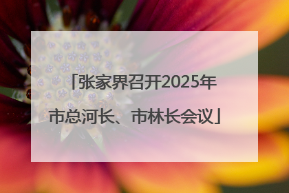 张家界召开2025年市总河长、市林长会议