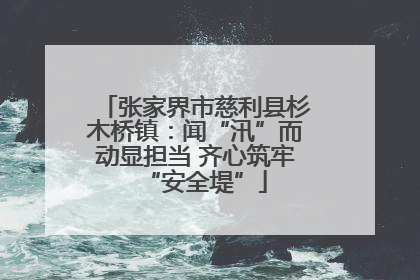 张家界市慈利县杉木桥镇：闻“汛”而动显担当 齐心筑牢“安全堤”