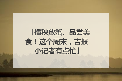 插秧放蟹、品尝美食！这个周末，吉报小记者有点忙