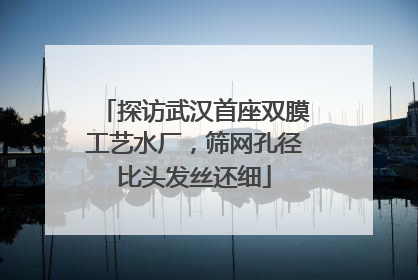 探访武汉首座双膜工艺水厂，筛网孔径比头发丝还细