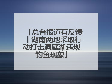 总台报道有反馈丨湖南两地采取行动打击洞庭湖违规钓鱼现象