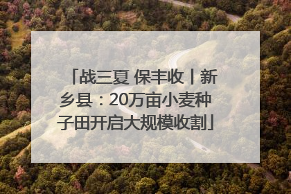 战三夏 保丰收丨新乡县：20万亩小麦种子田开启大规模收割
