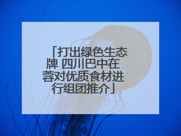 打出绿色生态牌 四川巴中在蓉对优质食材进行组团推介